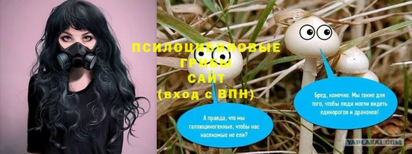 герыч Сатка