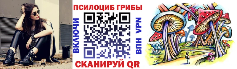 Галлюциногенные грибы Cubensis Соль-Илецк