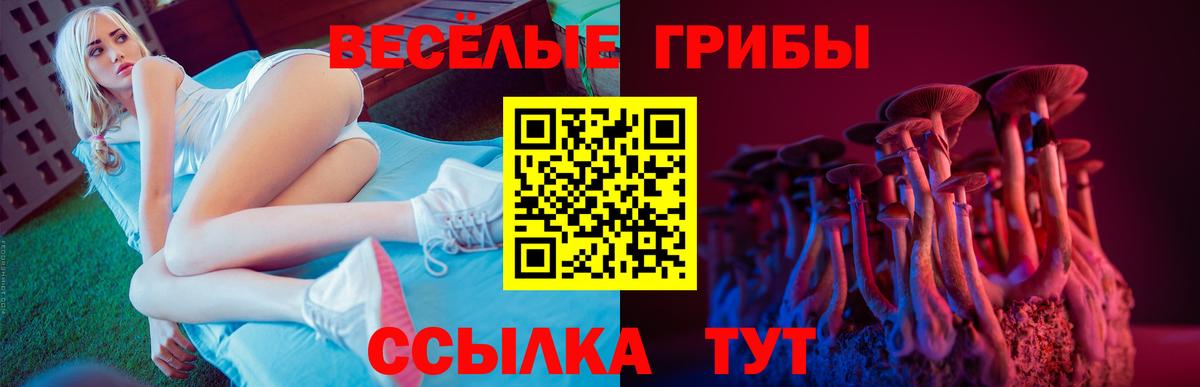 Соль-Илецк  Галлюциногенные грибы Psilocybe  Галлюциногенные грибы прущие грибы  Вход с VPN 